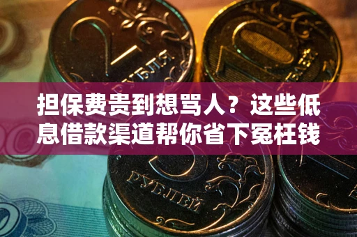 北京担保费贵到想骂人？这些低息借款渠道帮你省下冤枉钱