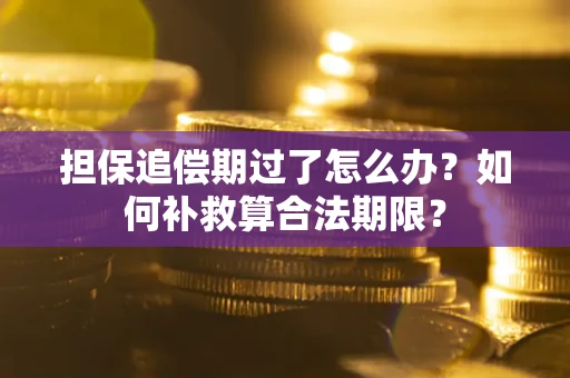 北京担保追偿期过了怎么办？如何补救算合法期限？