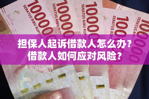 北京担保人起诉借款人怎么办？借款人如何应对风险？