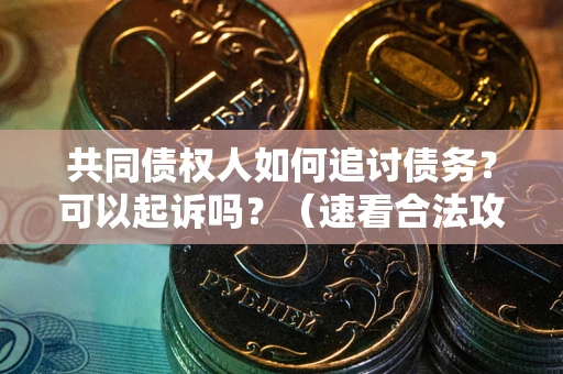 北京共同债权人如何追讨债务？可以起诉吗？（速看合法攻略）