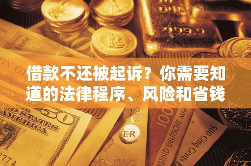 北京借款不还被起诉？你需要知道的法律程序、风险和省钱技巧